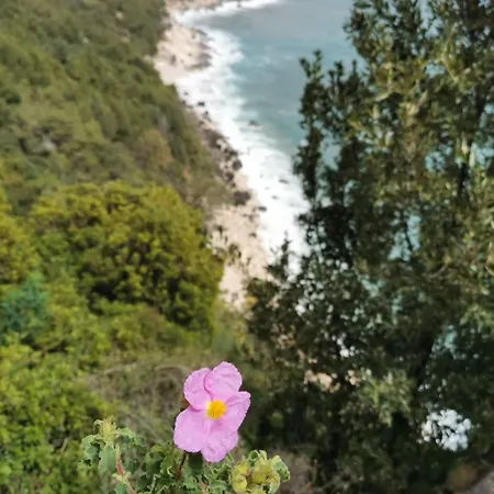 Appartamento Casa Mare E Sole Iun R2610 Cala Gonone