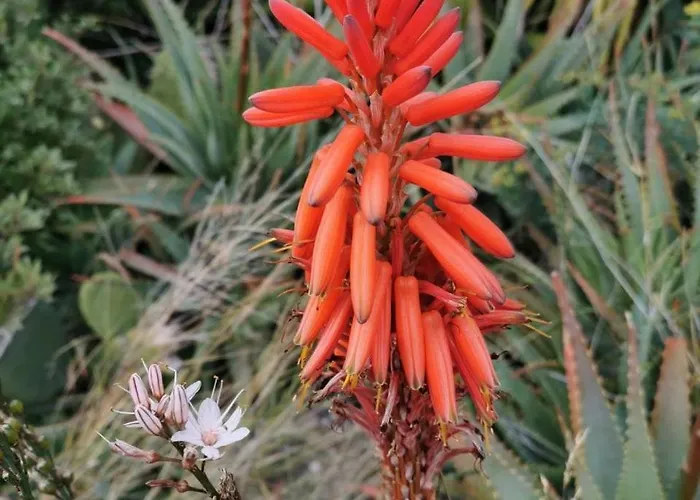 Casa Mare E Sole Iun R2610 Cala Gonone