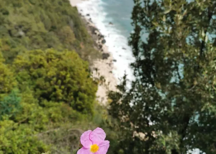 Apartmán Casa Mare E Sole Iun R2610 Cala Gonone